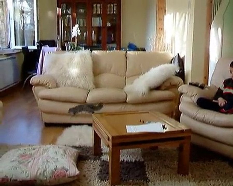 Hirsiz sincap is basinda volume 1