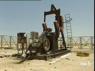 exposition : Bahrein la civilisation des deux mers de dilhoum a tyros