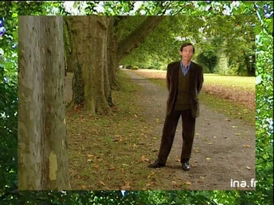 [les anneaux de saturne]