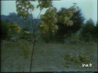 JA2 20H : EMISSION DU 28 NOVEMBRE 1976