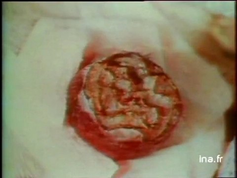 Ja2 20h : émission du 17 mai 1980