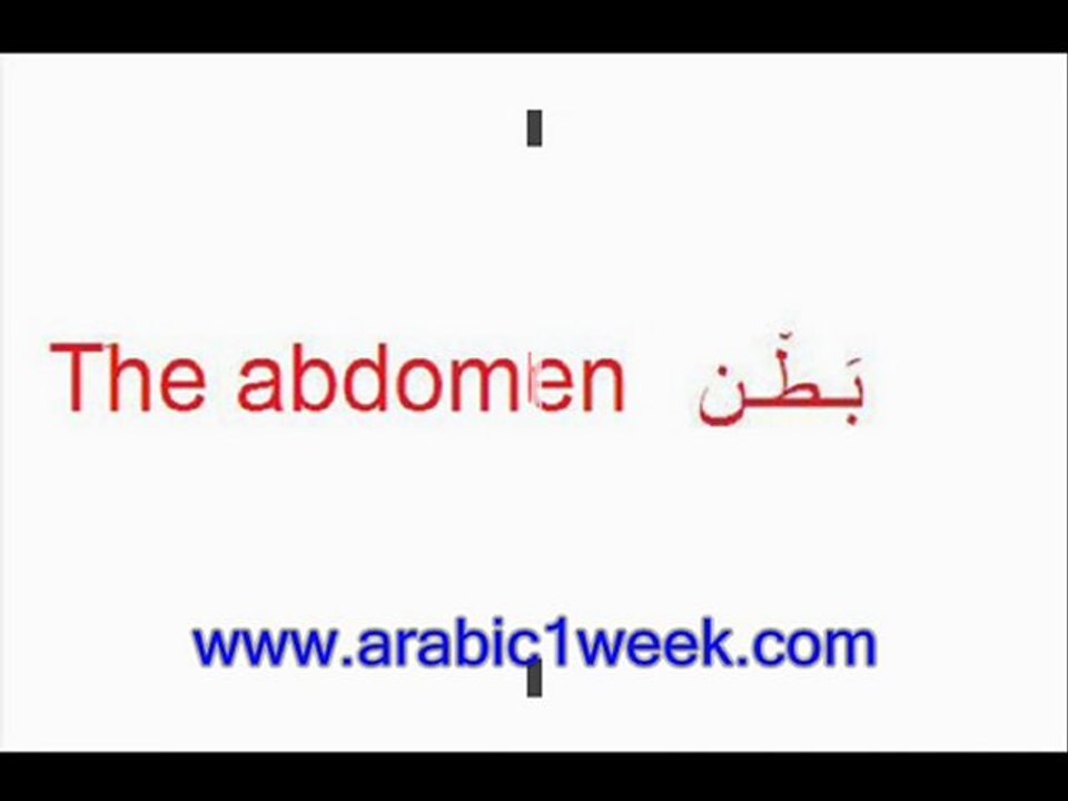 The human body(arabic)