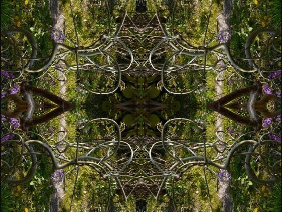 Samedi 17 avril 2010 à 17h09