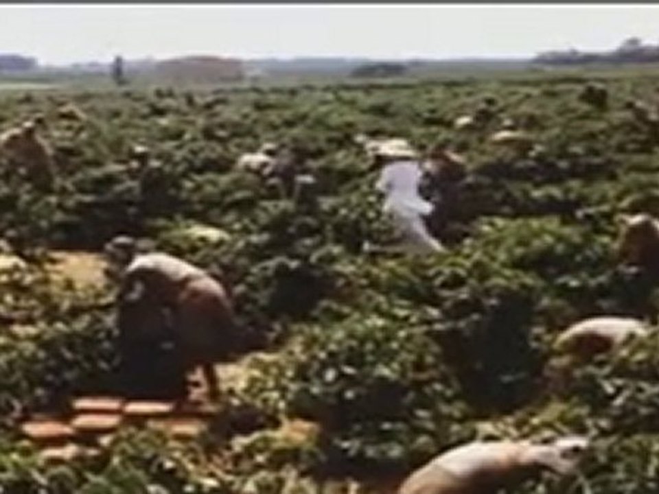 Out of Africa