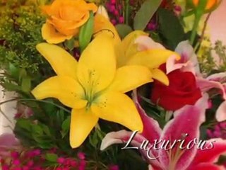 Babbling Brook Inn B&B Video Tour