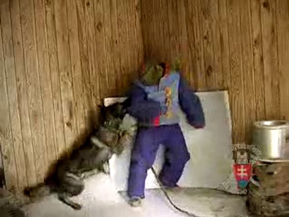 CQB K-9 Security Cam dogs protection