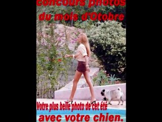 concours photos d'octobre 2010