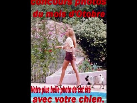 concours photos d'octobre 2010