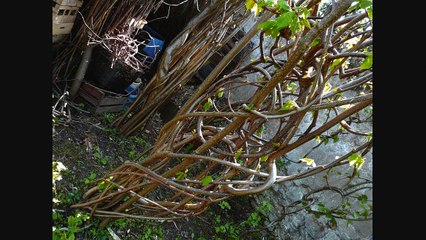 Samedi 17 avril 2010 à 17h02