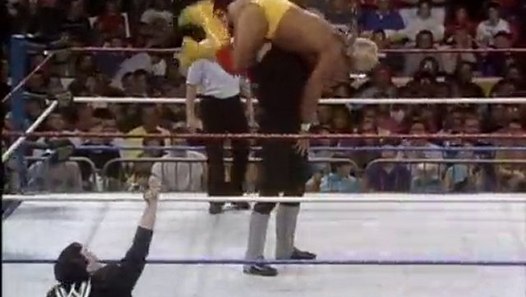 Undertaker Vs Hulk Hogan Survivor Series 1991 Video Dailymotion
