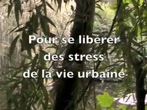 TAI CHI . SÉANCE - JAPON - DAVID BALY PROFESSEUR DE TAI CHI