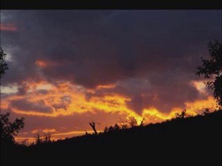 Gülsen Varol  (Piano) 2