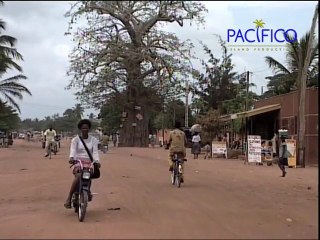 Togo, graine de star