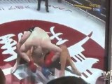 Fedor Obliterates Randy Couture In EA MMA Game