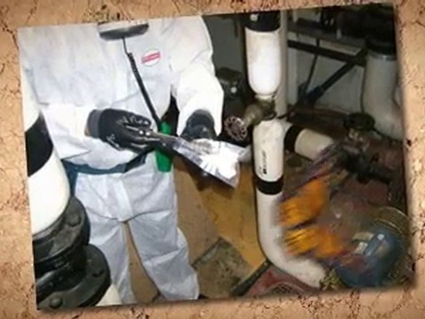 Grants for Asbestos Removal Round Rock TX