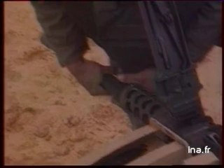 19/20 : EMISSION DU 17 FEVRIER 1991