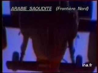 19/20 : EMISSION DU 20 FEVRIER 1991