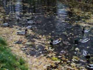 Лучшие моменты 21.10.10