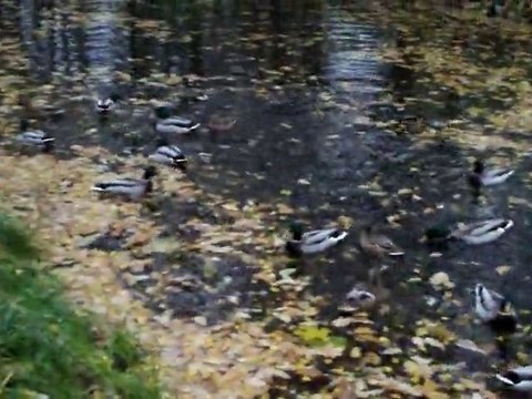 Лучшие моменты 21.10.10.