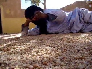 le chien, la chèvre et l'âne