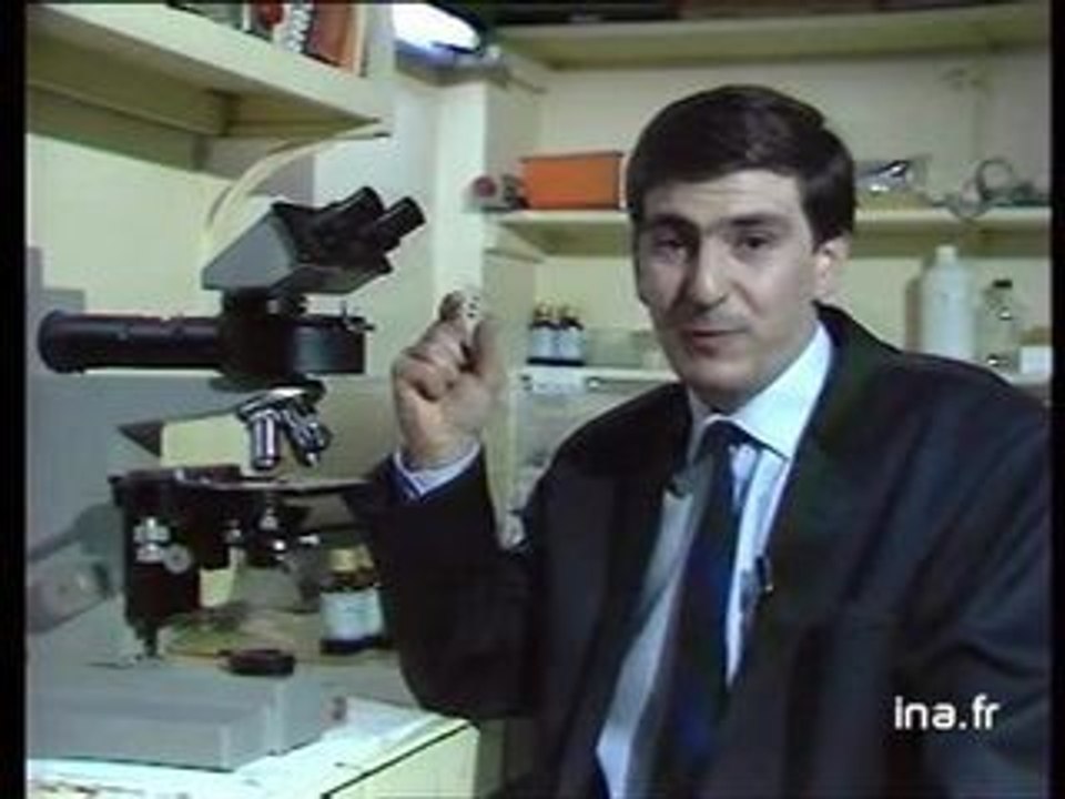 JA2 20H : EMISSION DU 17 FEVRIER 1988