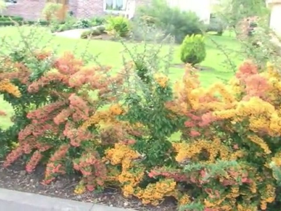 Concours des maisons fleuries