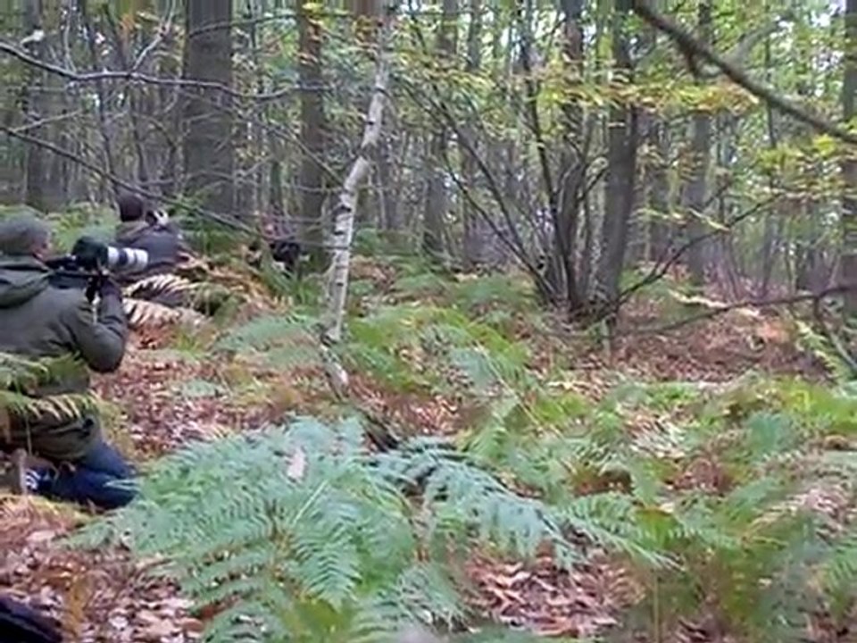 eagle one un avant gout du making of complet
