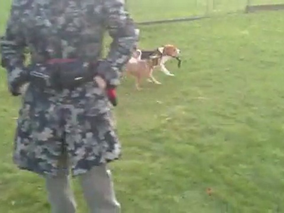 Bibi, Bandit et Bella le  21 10 10