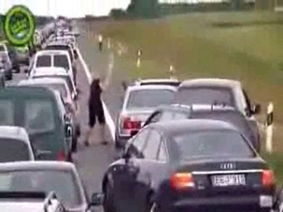 Die Sage geht weiter