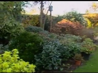 Belgian skydive killer gets 30 years