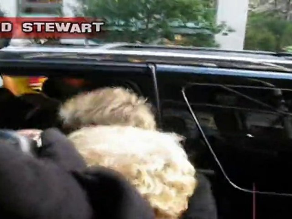 SNTV - Celebs say what