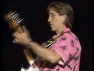 THE VENTURES The House Of The Rising Sun