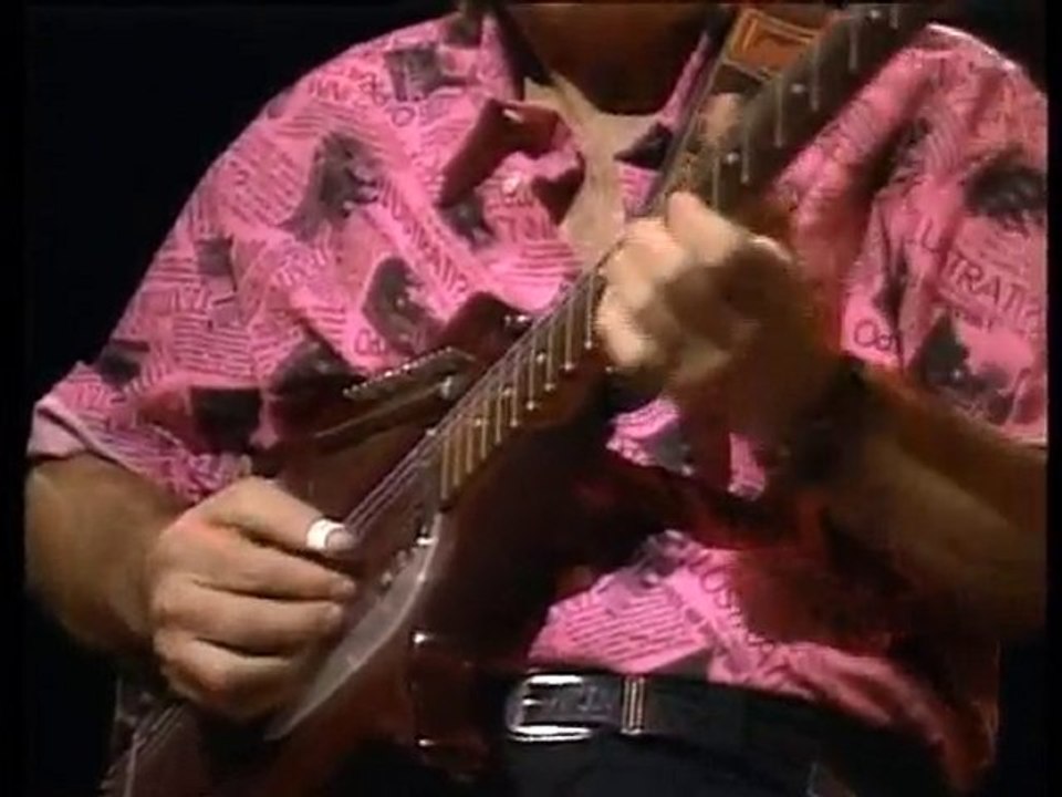 THE VENTURES Paint It Black