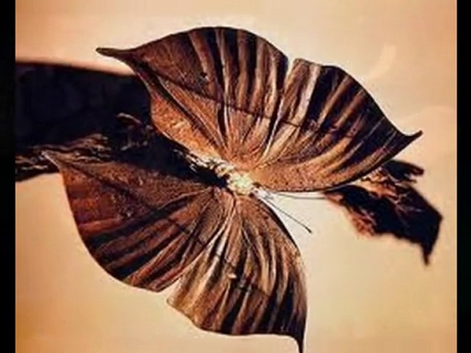 Oğuz Boran - Yarını Yok  S€Zi