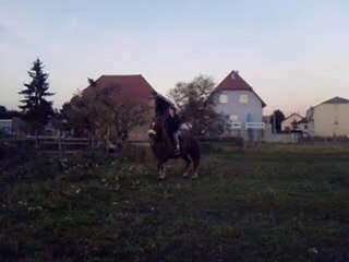 Salim en monte "dressage" lol