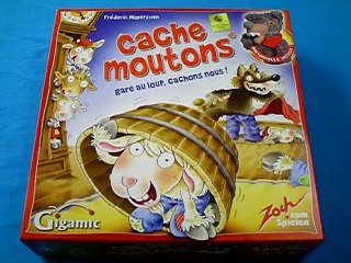 Videoregle #135: Cache Moutons