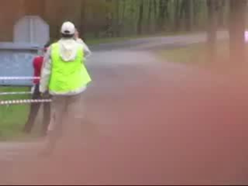 rally car takes a shortcut (crash)