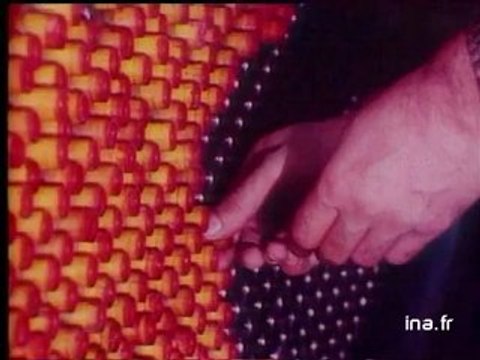 JA2 20H : EMISSION DU 23 JANVIER 1981