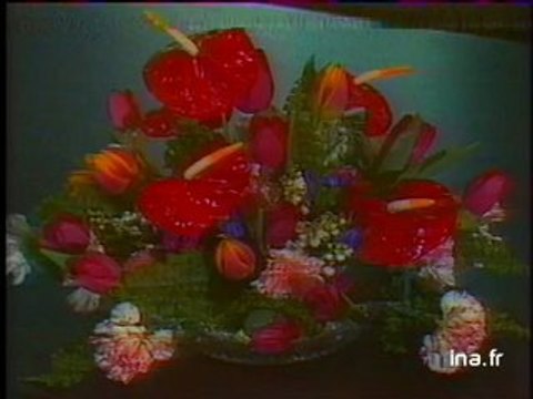 Ja2 20h : émission du 17 février 1981