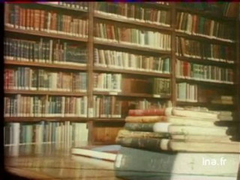 Ja2 20h : émission du 11 janvier 1981