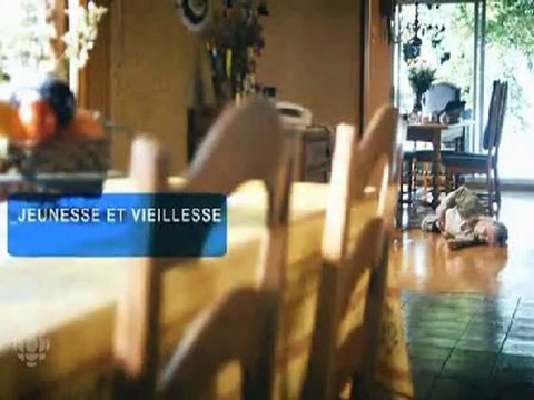 Critique du coffret DVD Trauma