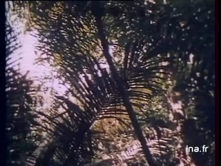 JA2 20h : émission du 5 octobre 1978