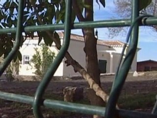 Tortured British man found in Portugal