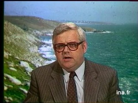 JA2 20H : EMISSION DU 29 MAI 1981