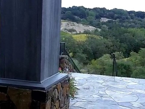 Chalk Hill Winery with Amicis Tours