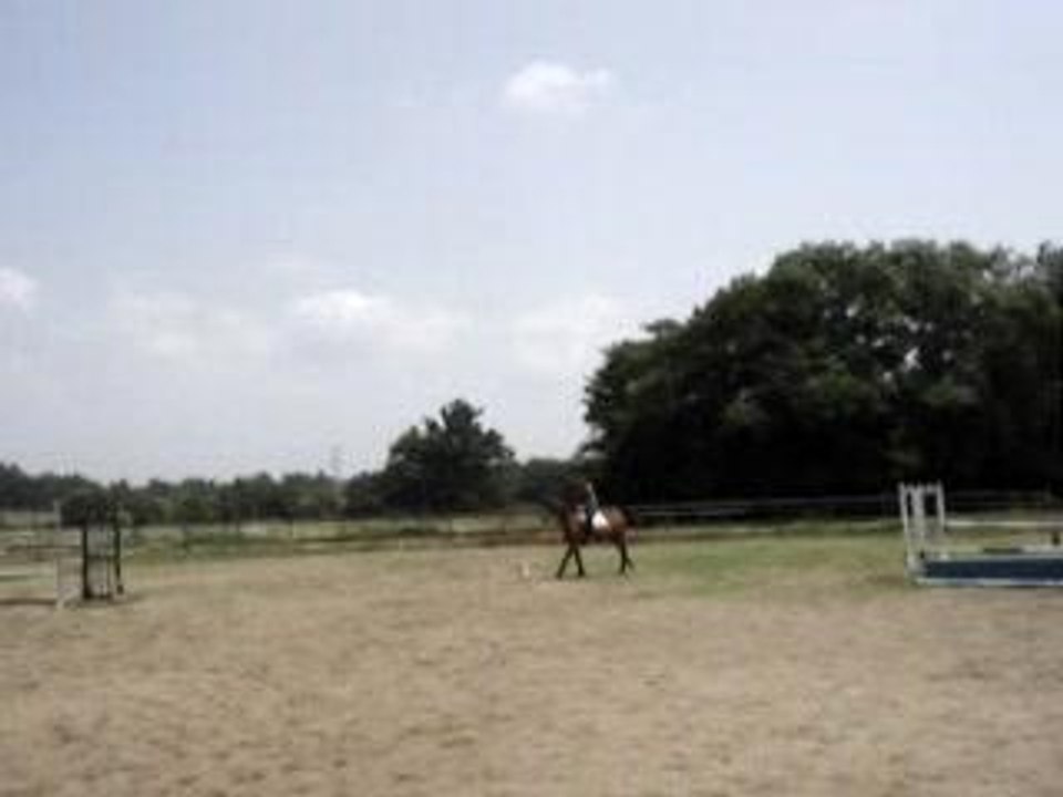 issmy obstacle