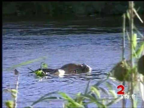 JA2 20H : émission du 23 mai 1994