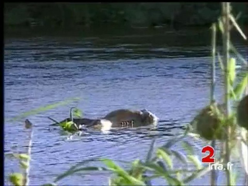 JA2 20H : émission du 23 mai 1994