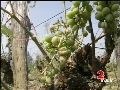 JA2 20H : émission du 15 juillet 1994