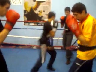 [Distanceur] Boxeurs débutants